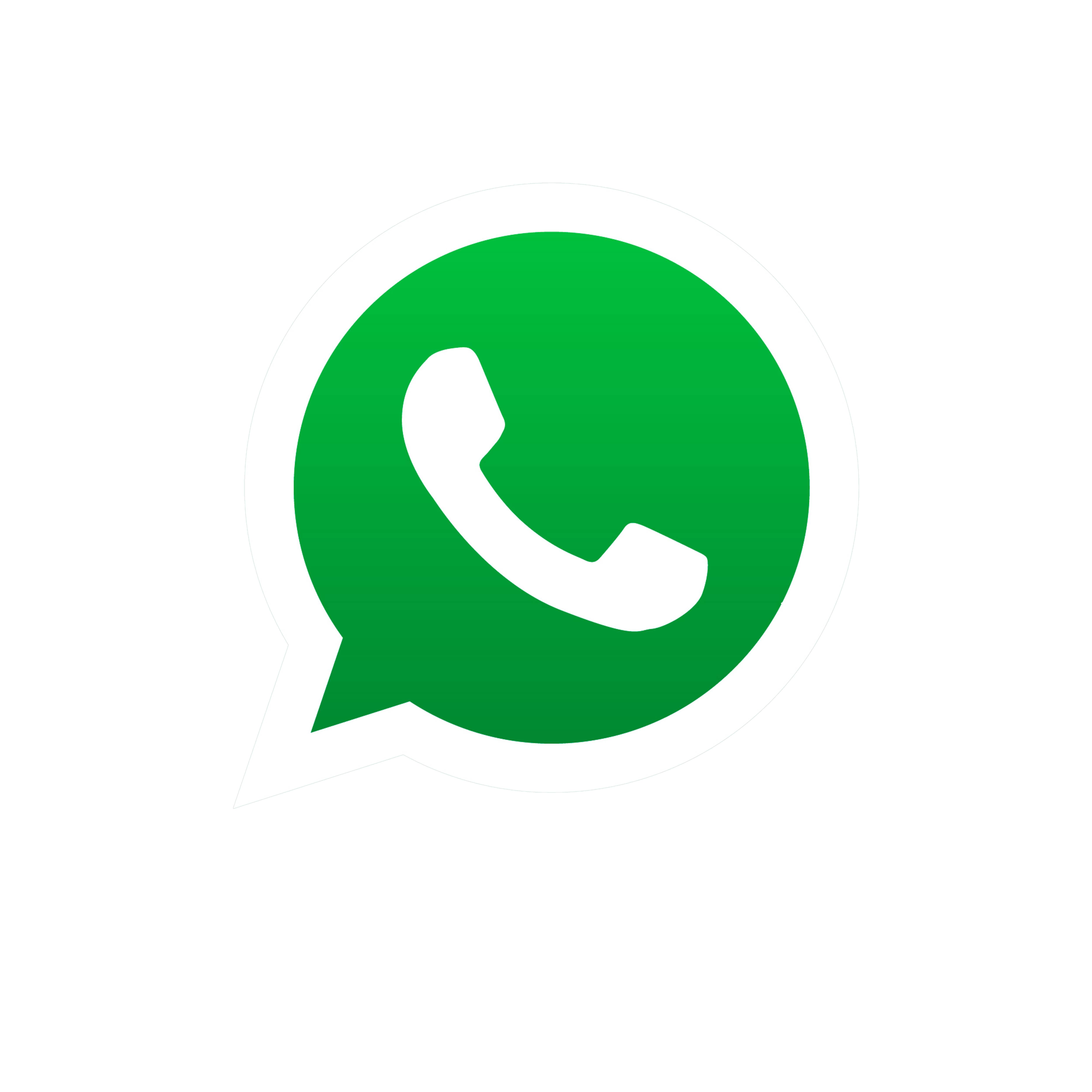 WhatsApp icon